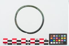 Foto von Bronzearmreif (NHMW-PRAE-024878)